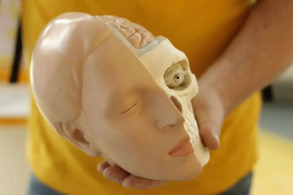 Les ressources humaines bouleversées par l’intelligence artificielle : découvrez les incroyables conséquences !